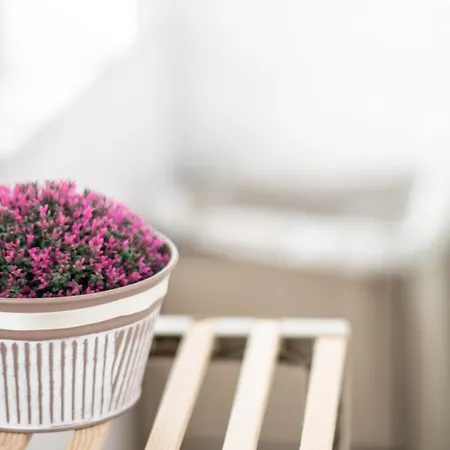 Comodita A Due Passi Dal Centro Di * Verbania